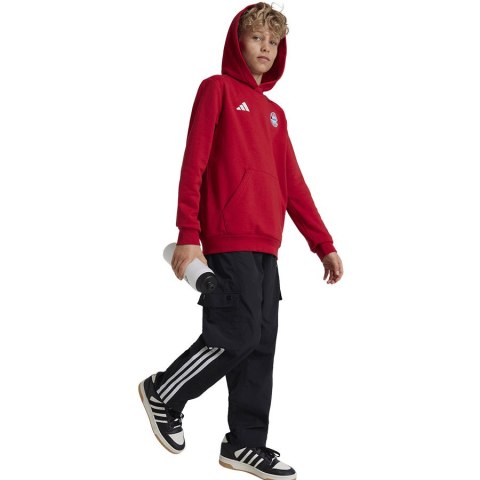 Bluza adidas FC Bayern HD Junior Jr IT4134