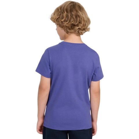 Koszulka dla chłopca 4F M2399 niebieska 4FJWAW25TTSHM2399 33S