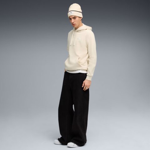 Bluza męska Puma ESS Small No.1 Logo Hoodie FL kremowa 682575 87