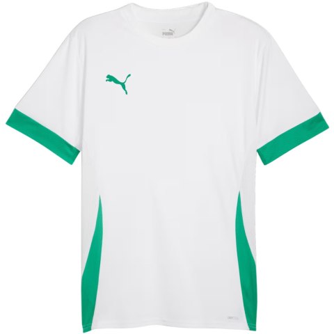 Koszulka męska Puma teamGoal Matchday Jersey biało-zielona 705747 15