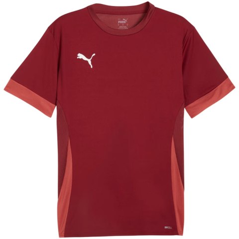 Koszulka męska Puma teamGoal Matchday Jersey bordowa 705747 09