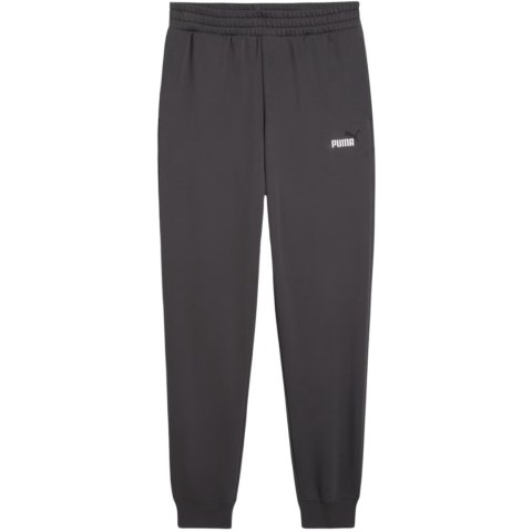 Spodnie męskie Puma ESS 2 Color No.1 Logo szare 684713 44