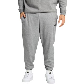 Spodnie męskie Puma ESS no.1 Logo Sweatpants FL szare 682606 03