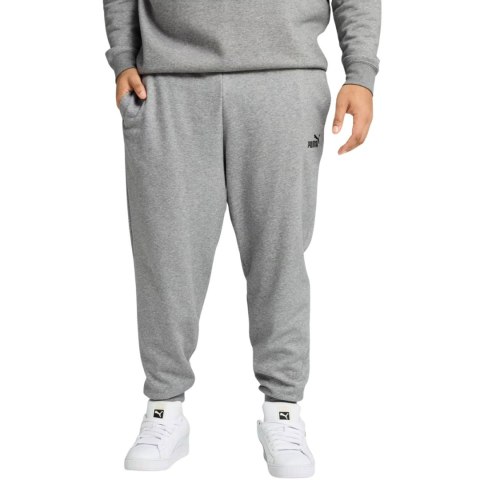 Spodnie męskie Puma ESS no.1 Logo Sweatpants FL szare 682606 03