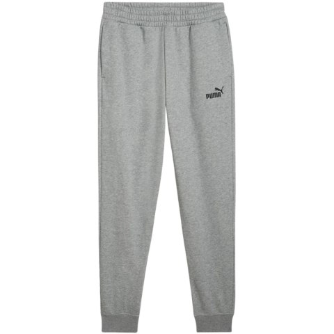 Spodnie męskie Puma ESS no.1 Logo Sweatpants FL szare 682606 03