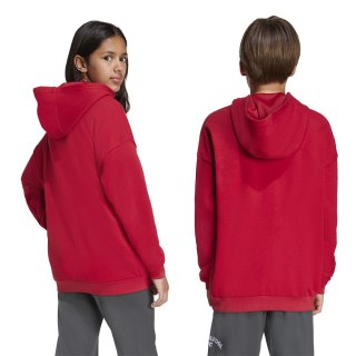 Bluza adidas Liverpool FC Hoody Junior JW7879