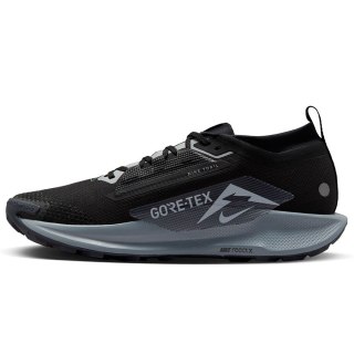 Buty Nike Pegasus Trail 5 Gore-Tex FQ0908-001