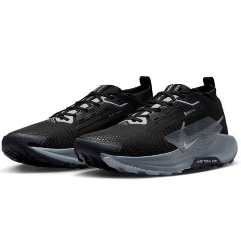 Buty Nike Pegasus Trail 5 Gore-Tex FQ0908-001