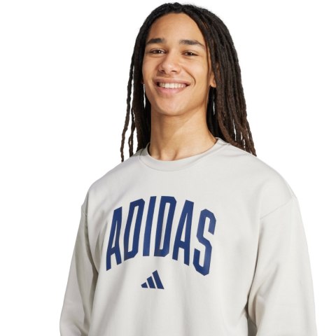 Bluza męska adidas Collegiate Sweat szara JM1732