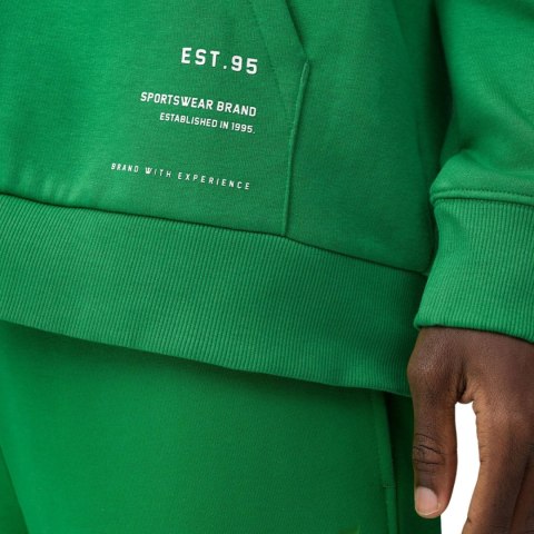 Bluza męska 4F zielona 4FSS23TSWSM236 41S