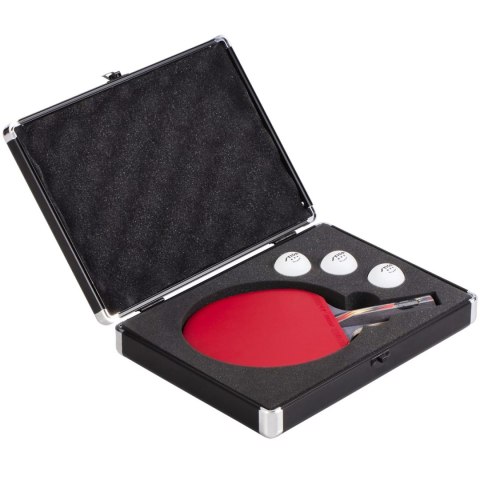 Futerał Point aluminiowy srebrny