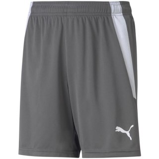 Spodenki dla dzieci Puma teamLIGA Shorts Jr Smoked szare 704931 13