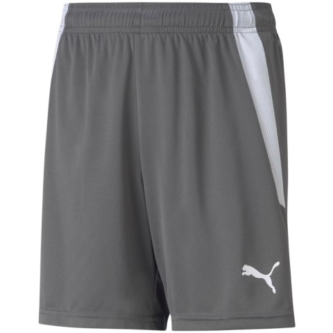 Spodenki dla dzieci Puma teamLIGA Shorts Jr Smoked szare 704931 13