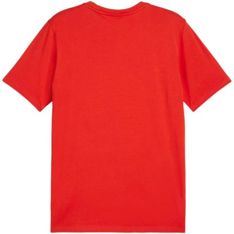 Koszulka męska Puma Team Goal Casuals Tee czerwona 658615 01