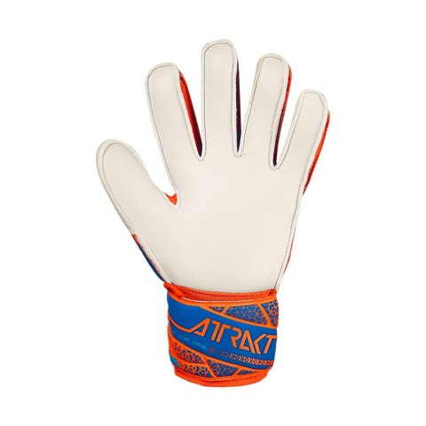 Rękawice bramkarskie Reusch Attrakt Solid Junior pomarańczowo-niebieskie 5572515 2290