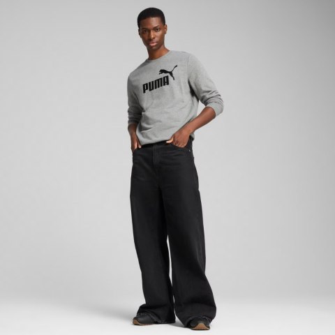 Bluza męska Puma ESS No.1 Logo Crew TR szara 682560 03