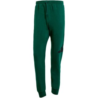 Spodnie męskie adidas Essentials Big Logo French Terry zielone JE8971