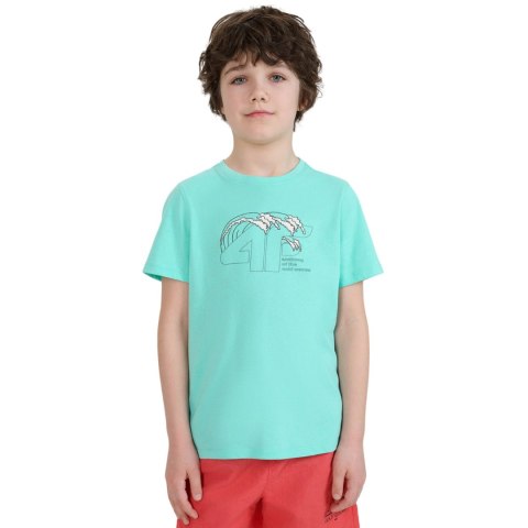 Koszulka dla chłopca 4F M1917 miętowa 4FJWSS25TTSHM1917 47S