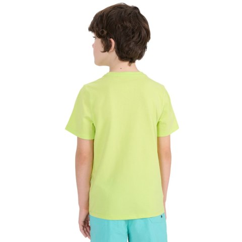 Koszulka dla chłopca 4F M1917 soczysta zieleń 4FJWSS25TTSHM1917 45S