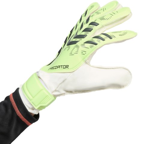 Rękawice bramkarskie adidas Predator Training limonkowe JN5356