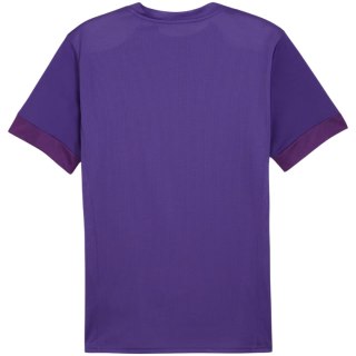 Koszulka męska Puma teamGoal Matchday Jersey fioletowa 705747 10