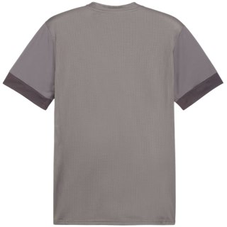 Koszulka męska Puma teamGoal Matchday Jersey szara 705747 13