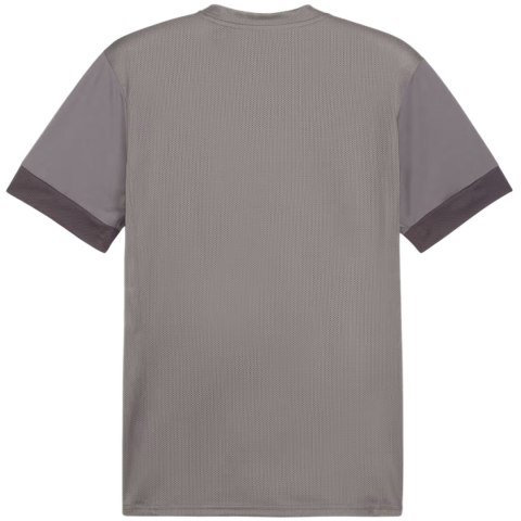 Koszulka męska Puma teamGoal Matchday Jersey szara 705747 13