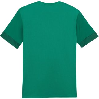 Koszulka męska Puma teamGoal Matchday Jersey zielona 705747 05