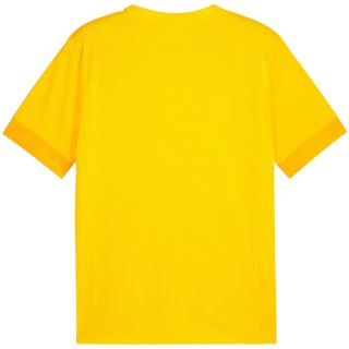 Koszulka męska Puma teamGoal Matchday Jersey żółta 705747 07