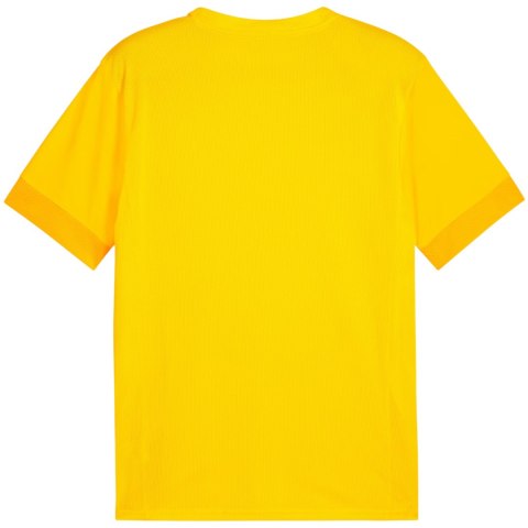 Koszulka męska Puma teamGoal Matchday Jersey żółta 705747 07