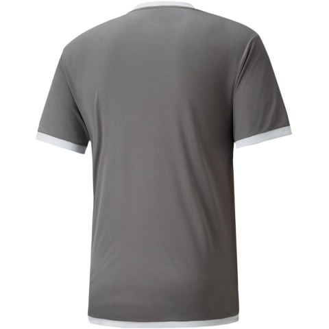 Koszulka męska Puma teamLIGA Jersey szara 704917 13