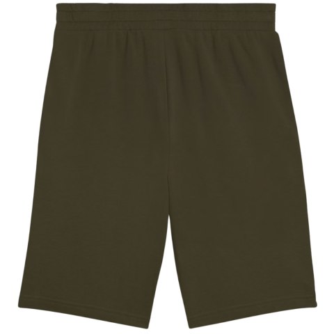 Spodenki męskie Puma Ess 2 Color No. 1 Logo khaki 684715 70