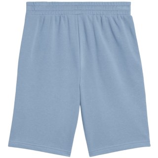 Spodenki męskie Puma Ess 2 Color No. 1 Logo niebieskie 684715 34