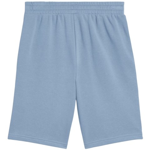 Spodenki męskie Puma Ess 2 Color No. 1 Logo niebieskie 684715 34