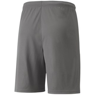 Spodenki męskie Puma teamLIGA szare 704924 13