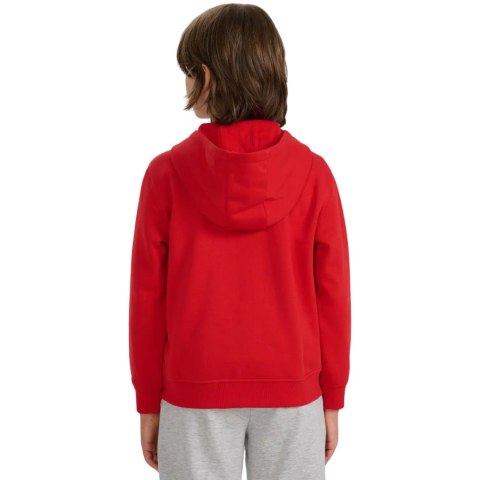 Bluza dla chłopca 4F M1944 czerwona 4FJWAW25TSWSM1944 62S