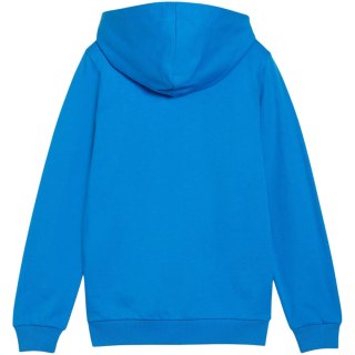 Bluza dla dzieci Puma teamGoal Casuals Hooded niebieska 658596 02
