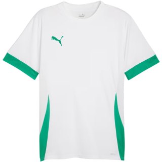 Koszulka męska Puma teamGoal Matchday Jersey biało-zielona 705747 15