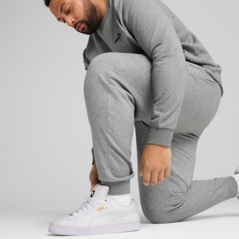 Spodnie męskie Puma ESS no.1 Logo Sweatpants FL szare 682606 03
