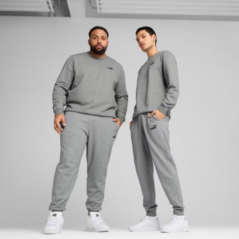 Spodnie męskie Puma ESS no.1 Logo Sweatpants FL szare 682606 03