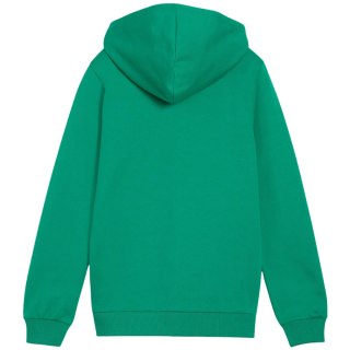 Bluza dla dzieci Puma teamGoal Casuals Hooded zielona 658596 05