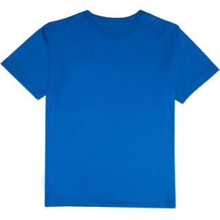 Koszulka dla dzieci Puma teamRISE Matchday niebieska 706284 02