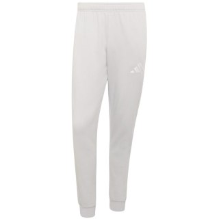 Spodnie męskie adidas Entrada 26 Sweat szare JZ9139