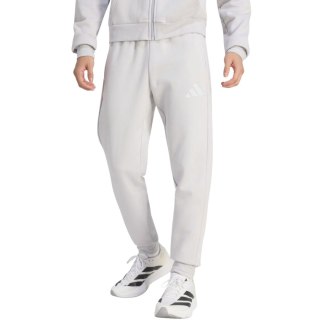 Spodnie męskie adidas Entrada 26 Sweat szare JZ9139