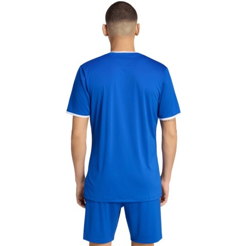 Koszulka męska adidas Entrada 26 Jersey niebieska JZ2506