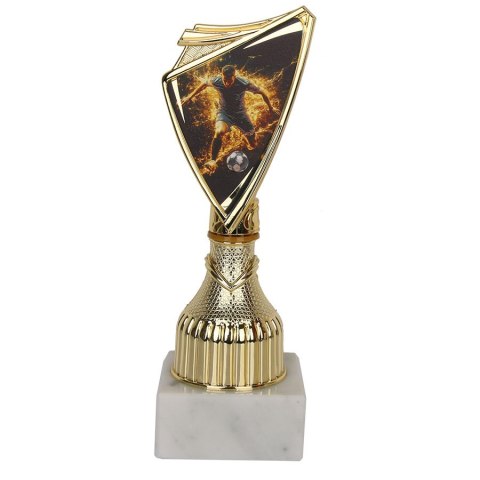 Puchar Tryumf 9297/SOC5-A piłka nożna