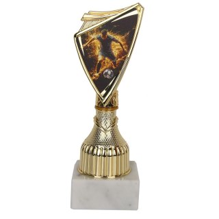 Puchar Tryumf 9297/SOC5-B piłka nożna