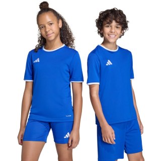 Koszulka dla dzieci adidas Entrada 26 Jersey niebieska JZ2531
