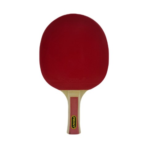 Rakietka do ping ponga Point Team