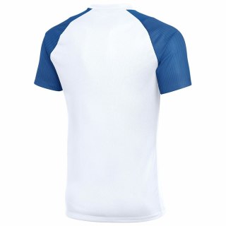 Koszulka Nike Academy II HV8160-103